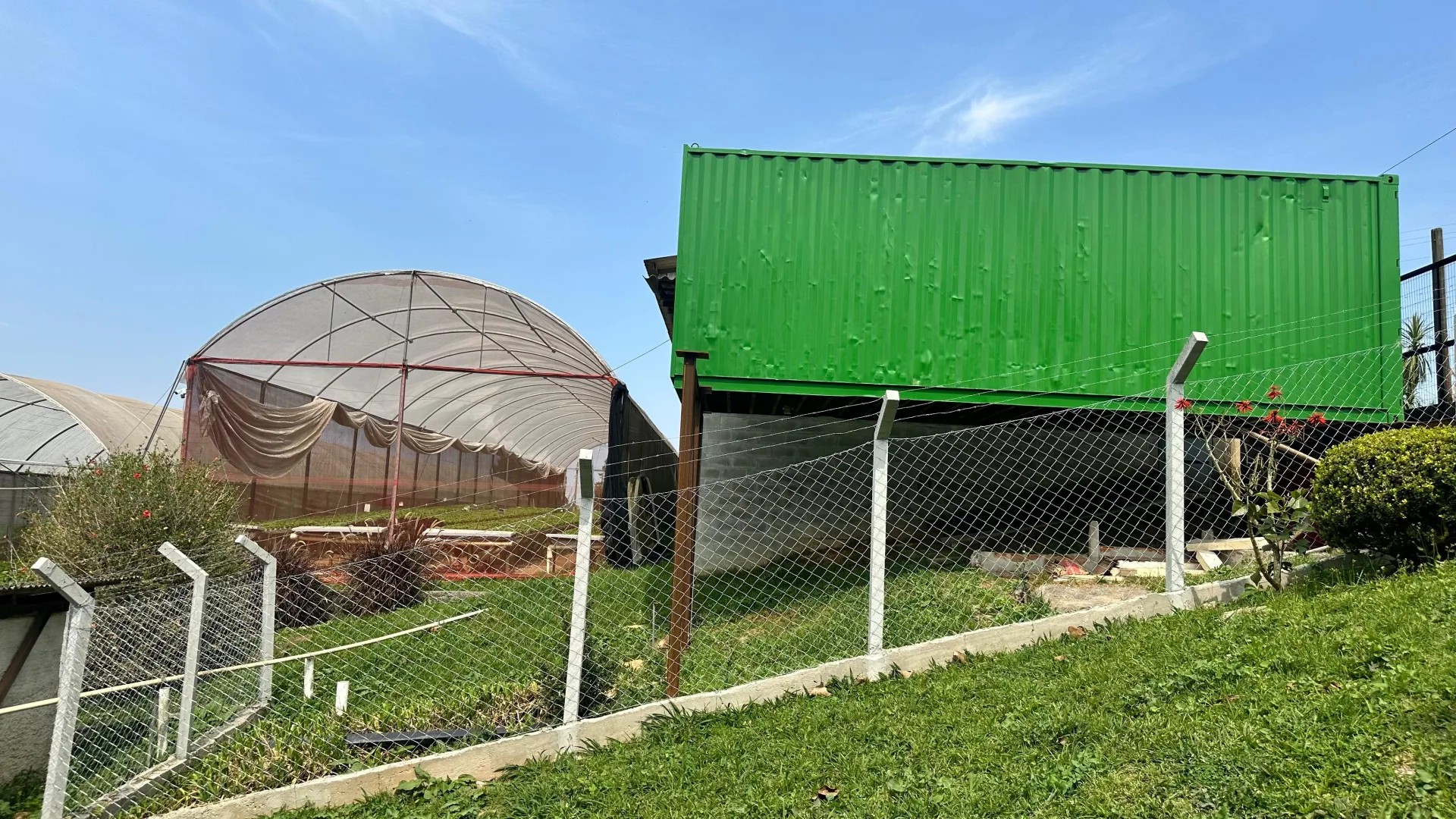 Estrutura da estufa de cultivo de cannabis medicinal da ABCMED, em Curitiba.